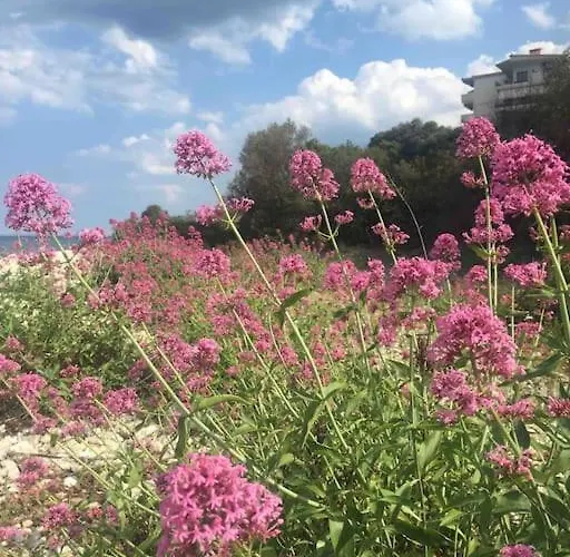 Breathtaking Oceanfront View & Private Apartment Xiropigado