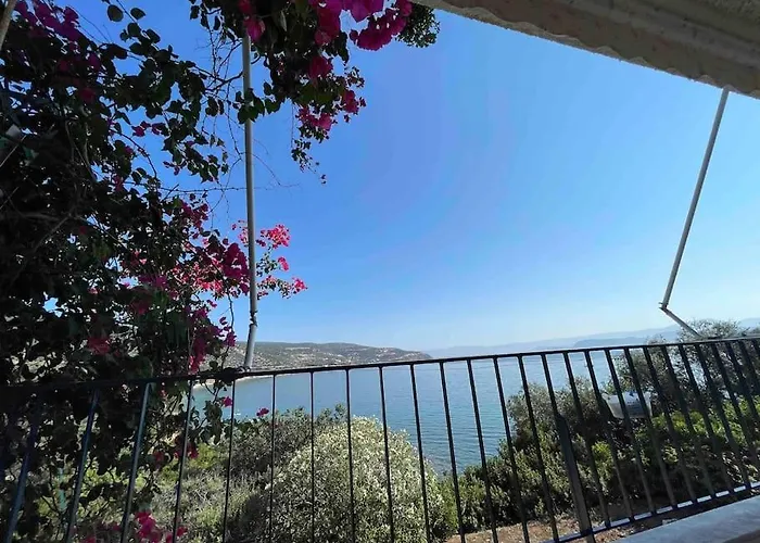 Apartment Breathtaking Oceanfront View & Private Xiropigado