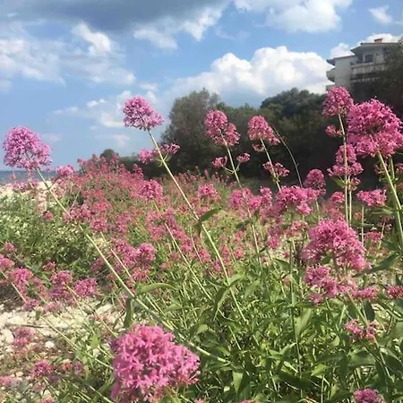 Breathtaking Oceanfront View & Private Διαμέρισμα Ξηροπήγαδο